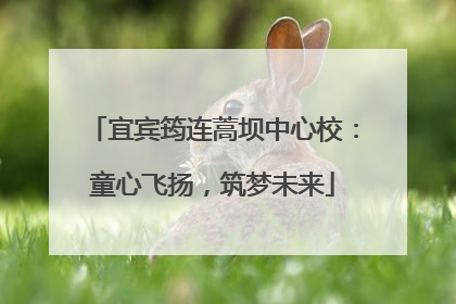 宜宾筠连蒿坝中心校：童心飞扬，筑梦未来